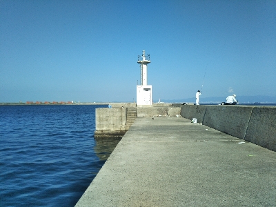 釣れるんですが…