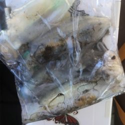 この時期にしたらいいサイズ