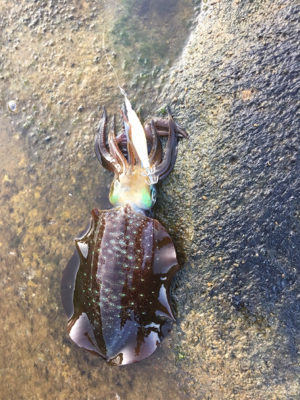 千畳敷へ初釣行