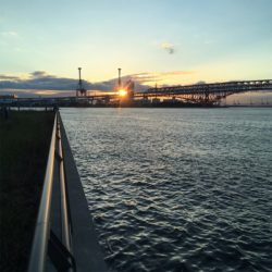 鶴浜緑地でアジとタチウオの偵察