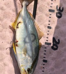 マイボートでタイラバ釣行