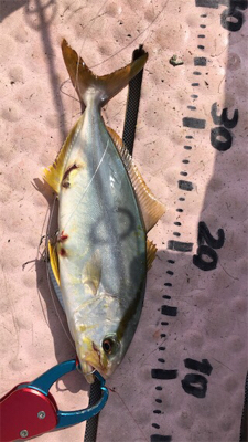 マイボートでタイラバ釣行