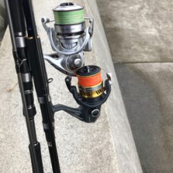 目指せサイズアップ！