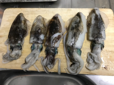 秋イカ爆発