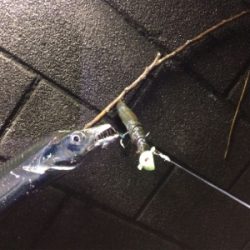 自作アシストVSトレーラーフック