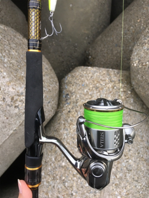 久しぶりにタチサゴハマチ