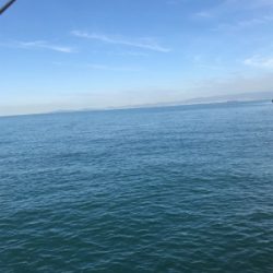 やっと秋が来た！