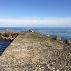 サビキ・タチウオ