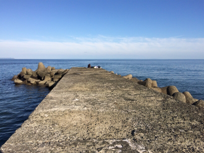 サビキ・タチウオ