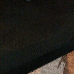 五目釣り達成!?