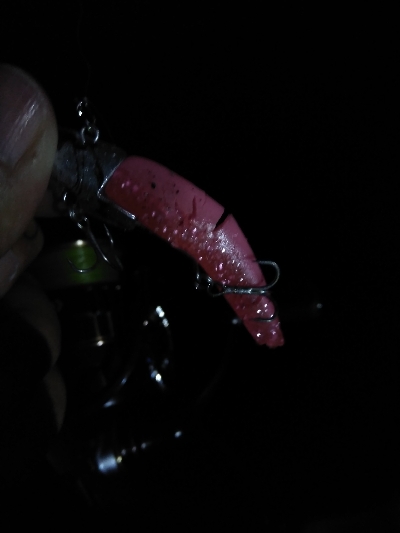 タチウオデートも面白い