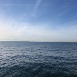 何とかサゴシ＋サバアジ爆釣！