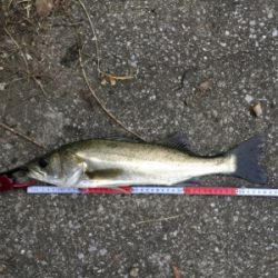 やっぱり小場所が一番!