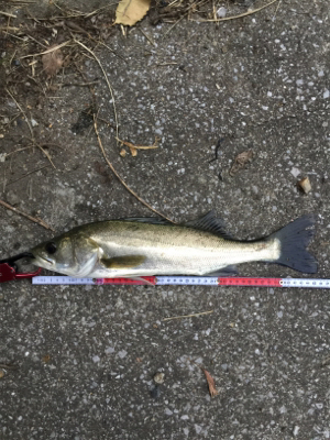 やっぱり小場所が一番!