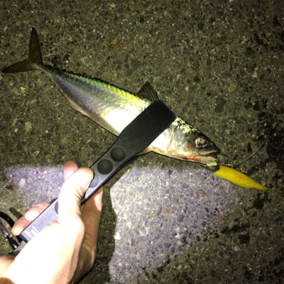 急に冷えたからか渋い