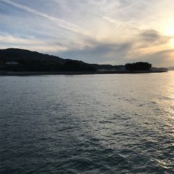 子供と一緒にとっとパーク小島