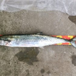 LSJigginger0805〜0928