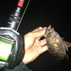 四日市方面の根魚釣行