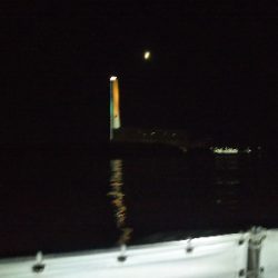 もうちょっと釣りたいよ〜