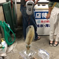 祝！息子がエギングで初アオリ(๑>◡<๑)