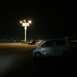 タチウオまずまず