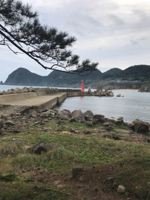 キロアップバラした原因