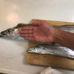 初ドラゴンありがとうございます!