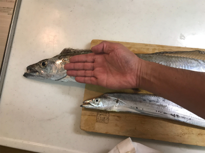 初ドラゴンありがとうございます!