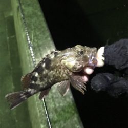 五目達成ライトゲーム