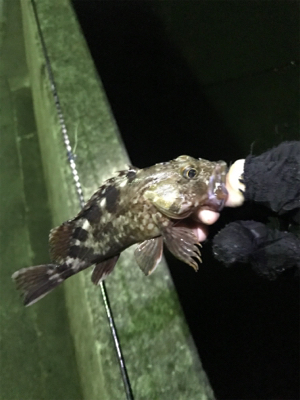 五目達成ライトゲーム