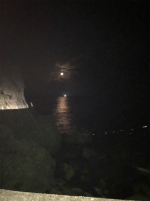 半月を眺めながら今夜も