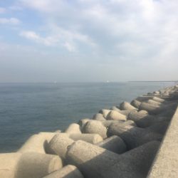 タチウオプチラッシュから青物不発