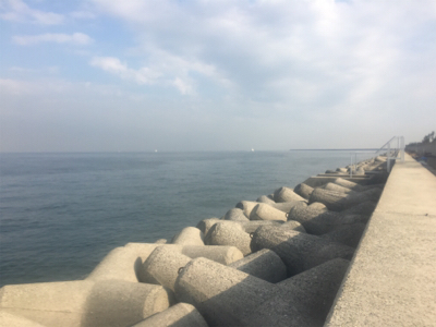 タチウオプチラッシュから青物不発