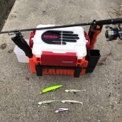 今日も行って来ました！