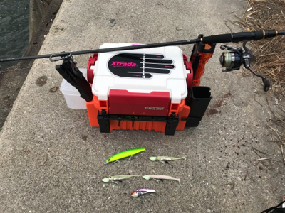 今日も行って来ました！