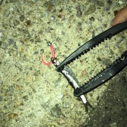 ベイトの群れにタチウオ付いてる