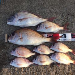 平磯で紅葉狩り