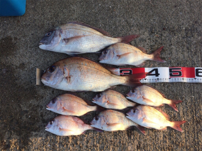 平磯で紅葉狩り