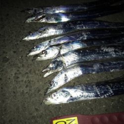 ラインブレイク時合い短い。