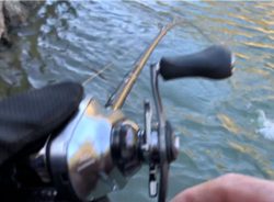 どストライク！！