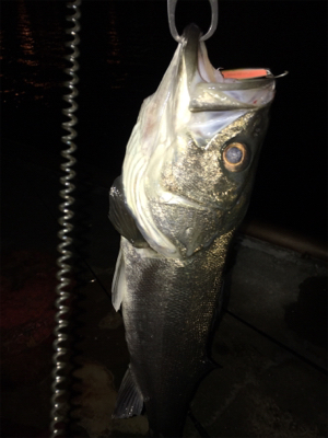 自己新記録‼️…