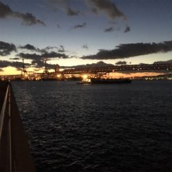 大阪湾奥ワインド 秋本番!鶴浜緑地で高活性