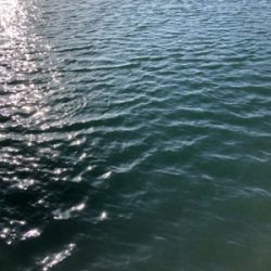 日中のライトゲーム