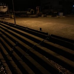 アジングロッドでヒラスズキ!