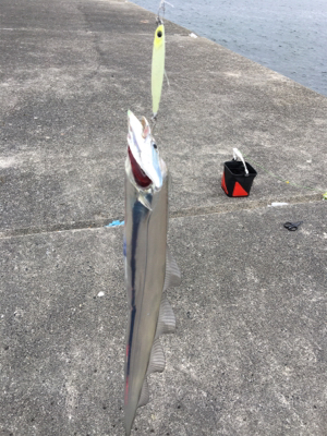 ショアジギ ノマセの二本立て