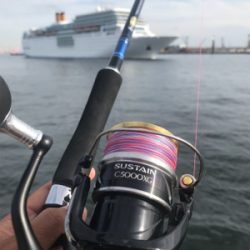 渋太刀からメジロバイバイ