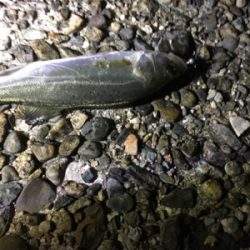 短時間ライトゲーム