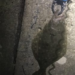 五目ライトゲーム