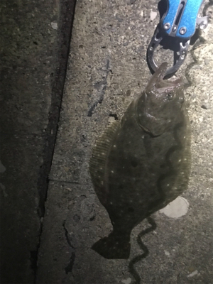 五目ライトゲーム