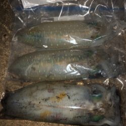 月がとっても丸いから〜